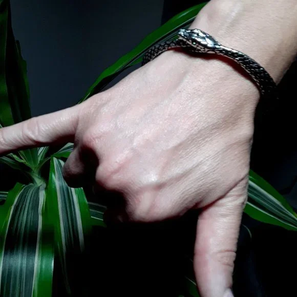 The Sophia Serpent Bangle by Alchemy of England - Picture 8 of 9